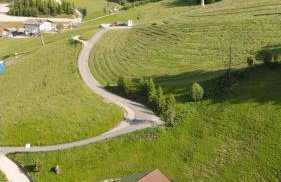 Planat - Foto 4