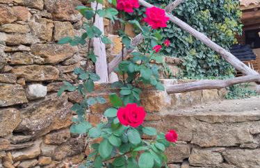 masia riu dels arbres - Foto 22