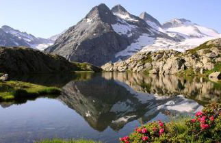 VACANZE VICINO ALLE PISTE - Vicino a Parcheggio e Centro Benessere - Parco Naturale Adamello Brenta - WI-FI & Netflix - Foto 26