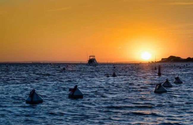 Discovery Resorts - Rottnest Island - Foto 47