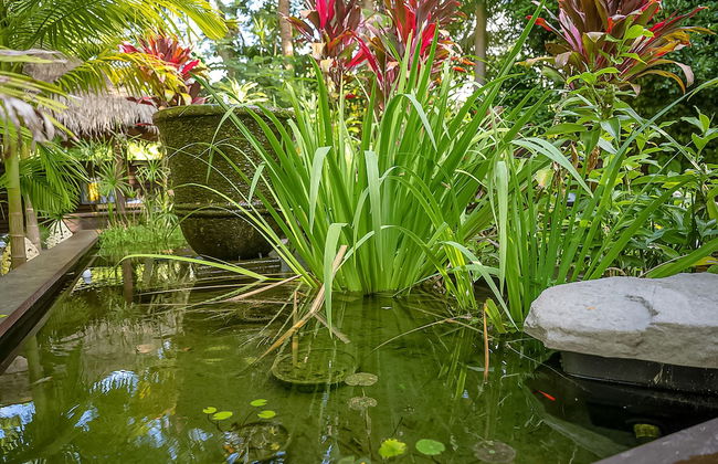 Sanctuary in The Pocket - Photo 70