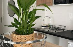 Appartement Cosy et chaleureux proche des grandes entreprises Toulousaine - Photo 6