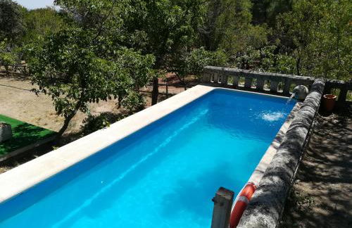 Huerto San Antonio - Foto 57