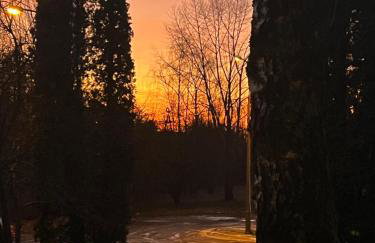 Gold Pearl Zegrze - Foto 54