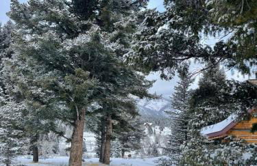 Luxury-Quintessential Montana Retreat! - Foto 11