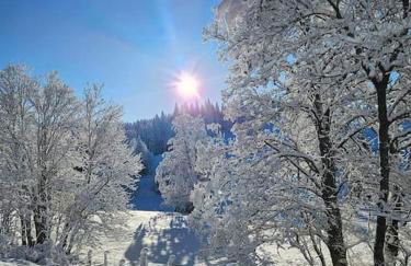 Charme et quiétude au cœur du Haut-Jura - Foto 43