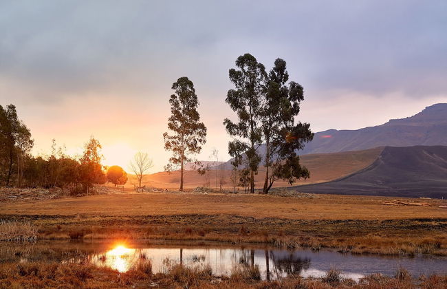 Bergview Farm Cottages by First Private Stays - Photo 43