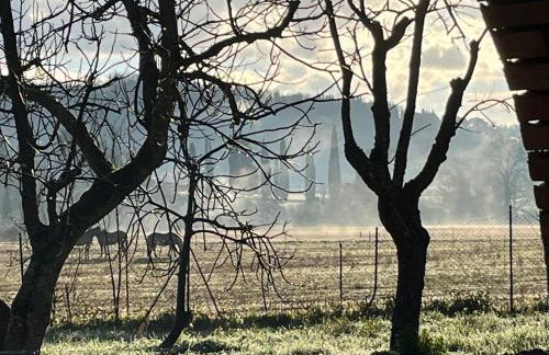 Le Gualchiere - Photo 50