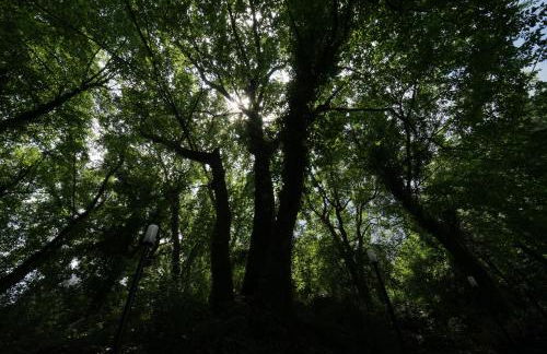 Aetna Silva - Photo 32