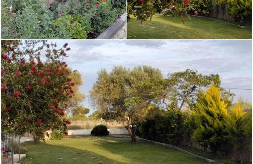 Elia by the sea - Photo 39