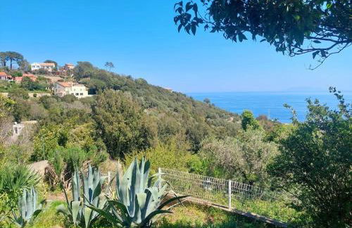Studio terrasse climatisé VUE MER avec parking - Foto 9