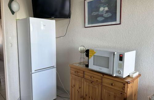 Port Camargue, T2 climatisé, terrasse, parking, animaux admis - FR-1-250-219 - Photo 12