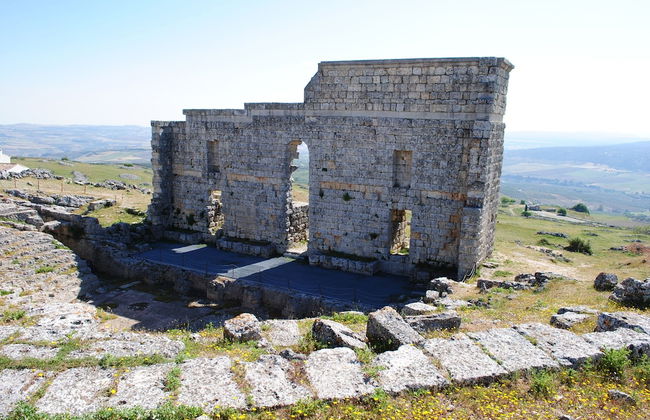 La Escuela del Campo - Photo 16
