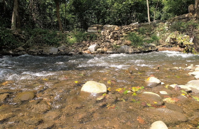 Yellow Cabin on the River - Foto 22