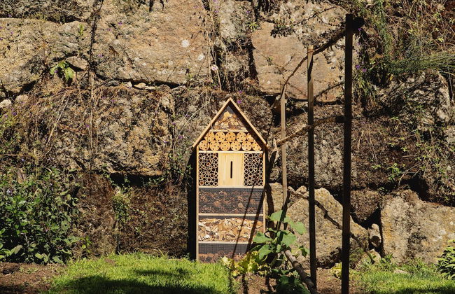 Casa Agrícola da Levada Eco Village - Foto 53