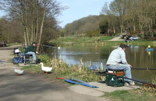 Mill Farm Cottages - The Nook - Photo 19