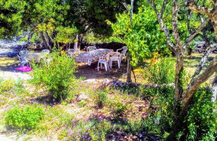 Eco Secluded apartments Zabodarski - Foto 19