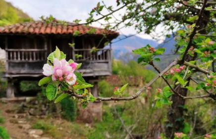 Casa La Parra - Foto 24