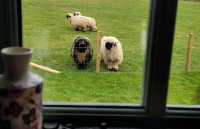 Cater Tober Haven - Photo 24