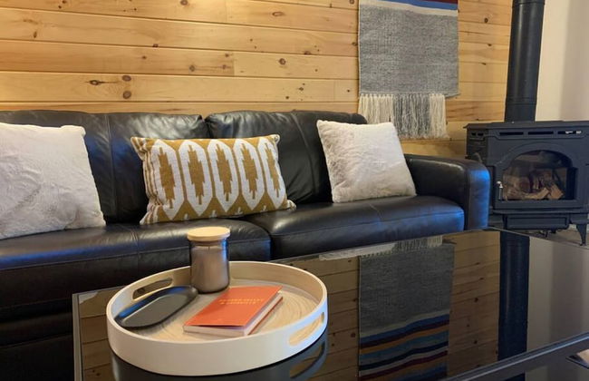 Back House Twin Cabin Ii-hot Tub Fireplace Hiking Retreat - Foto 6