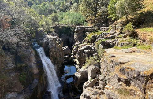 Oliveiras Misarela House - Photo 20