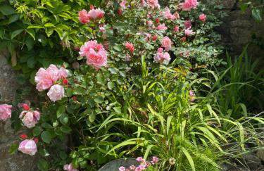 The Painter’s Retreat - Photo 8