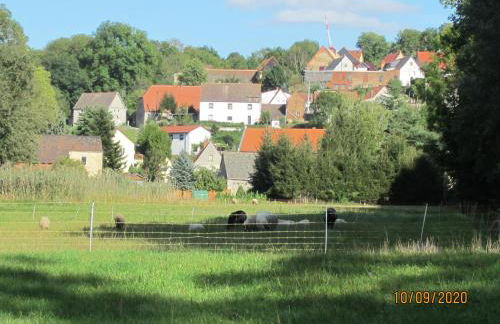 Ferienwohnung Bienwald mit Pool für 4 - 6 Personen mit 3 Schlafzimmern - Foto 29