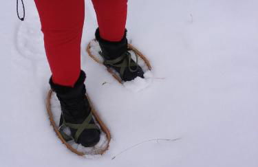 Casavacanze Ciaspole E Uva - Foto 80