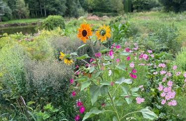 Pokój Przy Kominku - Foto 37