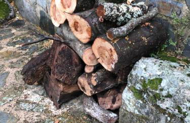 Vuelos de Montaña l - Foto 46