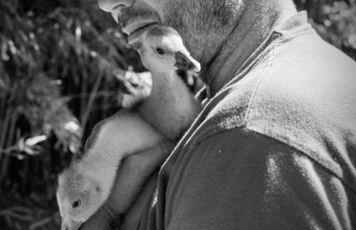 Apartment Leonie's Gîte Moulin de Tartay in Avignon by Interhome - Photo 46