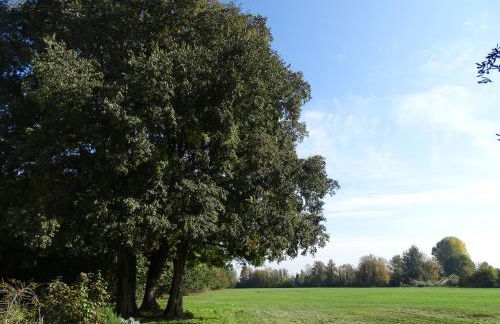 Corte Isolo - Photo 28