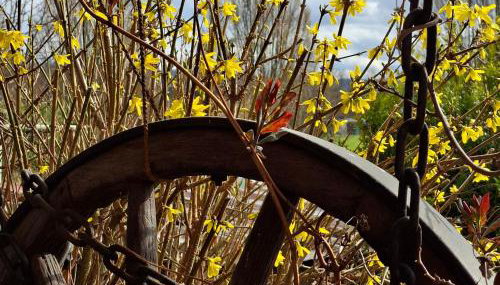 Ferienwohnung Grundel - Foto 4