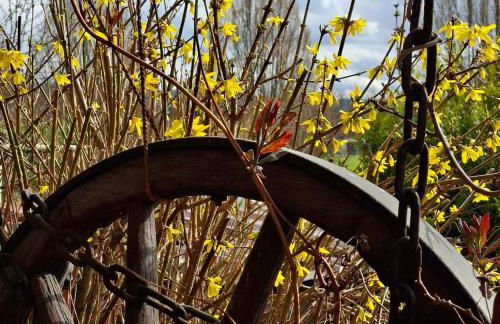 Ferienwohnung Grundel - Foto 4