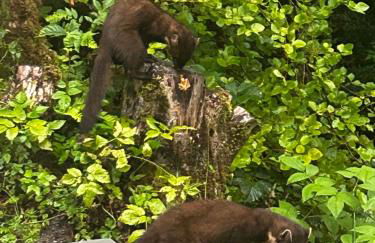 Aldernaig Mill - Photo 7