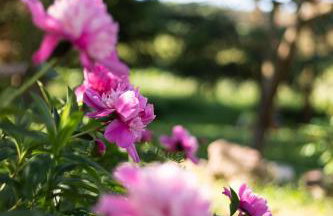 W Sercu Mazur - Foto 42