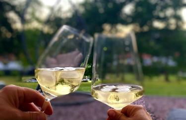 Tinyhaus & Souterrain Apartment in Ortenberg - Foto 1