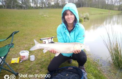 Peaceful ensuite lakeside cabin 'Tench' - Foto 24