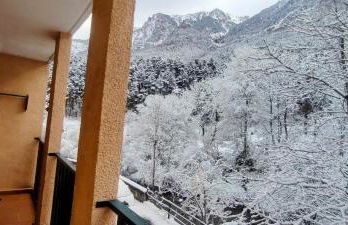 Carlina Canfranc - Foto 22