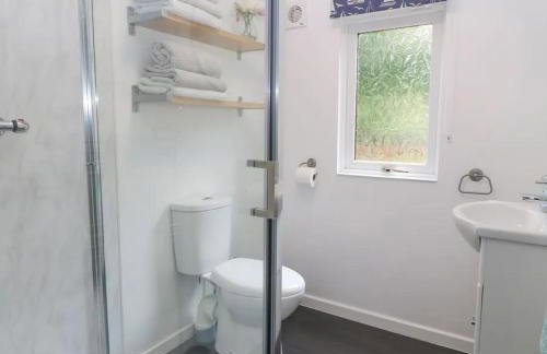 Buarth Wern - Foto 9