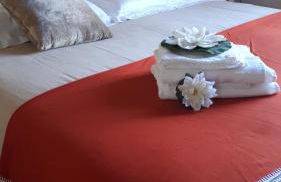 Il Debbio - Photo 20