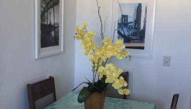 Spazio Solarium - Apartamento - Foto 4