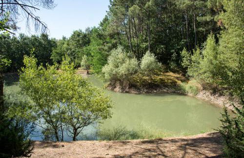 La Casa nel Bosco - Foto 2