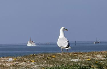 KleinAberFein an der Nordseeküste - Foto 33