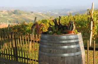 Agriturismo Cascina del Rosone - Foto 11