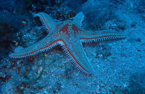 Apartmani Cindrić - Foto 11