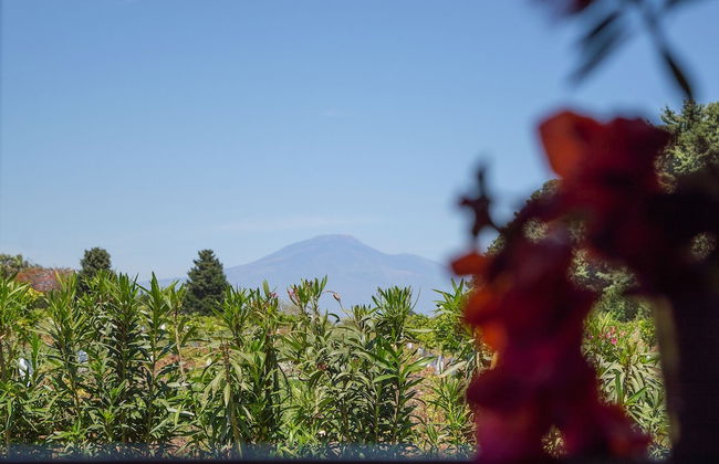 Tenuta San Calogero - Foto 69