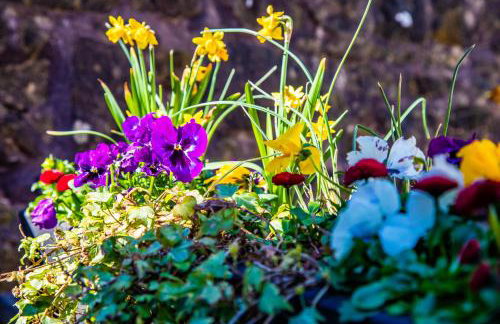 Buxton centre cosy cottage with free secure parking - Foto 18