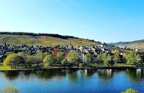 Elegant Apartment with Direct River View, Balcony and Parking in Bernkastel-Kues - Photo 62
