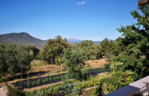 Villa Sa Pruna - Foto 16